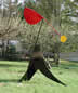 Bird of Paradise
